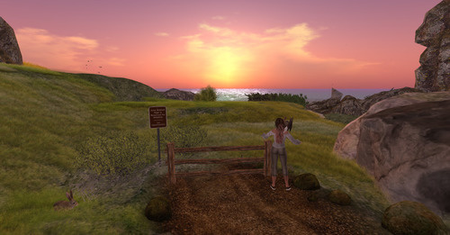 Web 645b8605ed05c4577e2d26bb