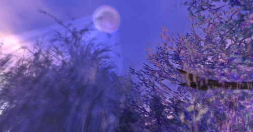 Web 647b3b6789c9816e06b462dc