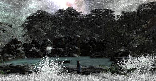 Web 656cce921d75902a7059d4bd