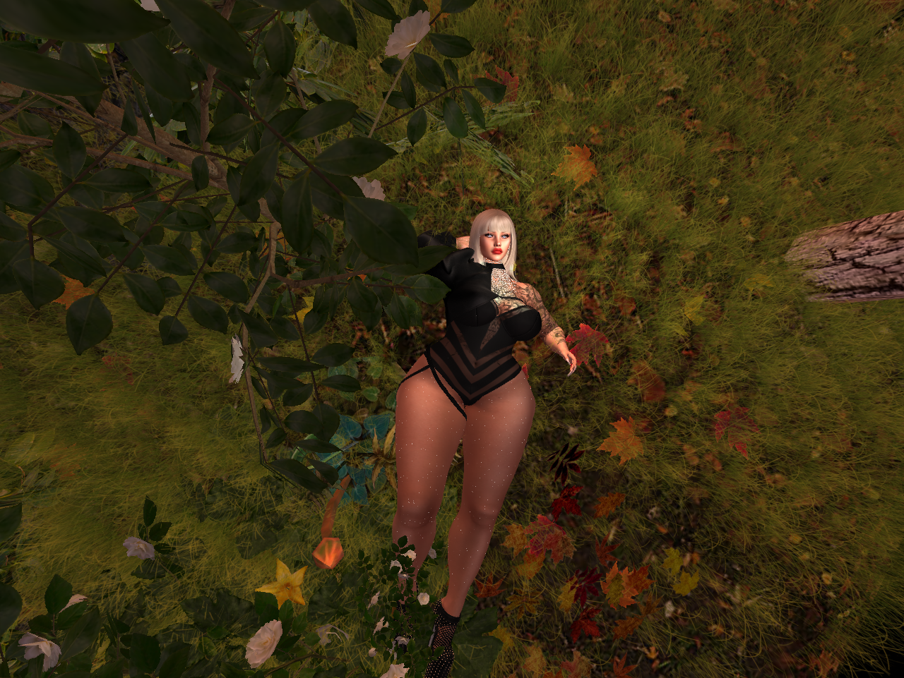 Original 61604c245c4aff0ae5ff7eba