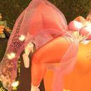 Thumb 607855b70223ef0434cda81f