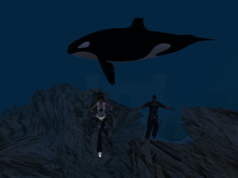 Original 53c79c43a73e21779b000001