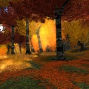 Thumb 53e1f00a8da5723a5d000001