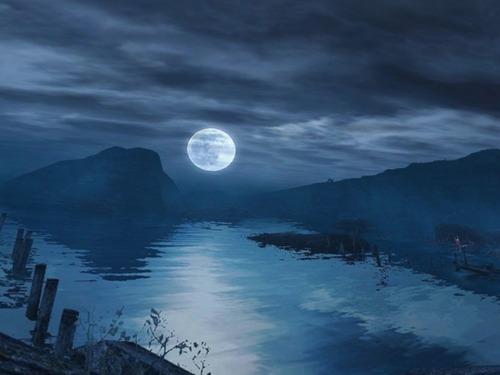 Web 53bf75a78da5727820000001