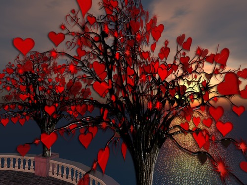 Web 53db6df1128cc930de000001