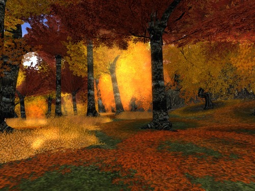 Web 53e1f00a8da5723a5d000001