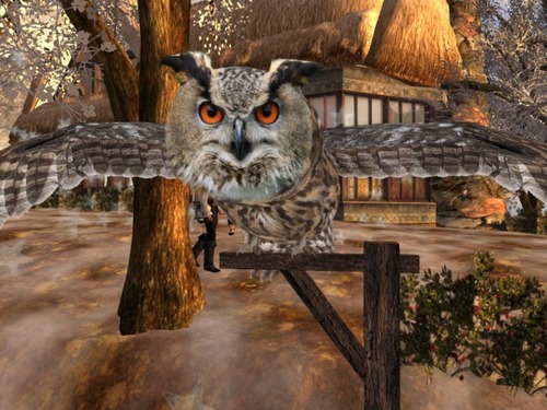 Web 56647c639934e04e67000001