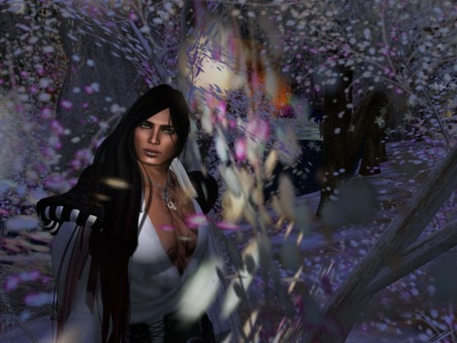 Web 56648575f8a1ec3665000001