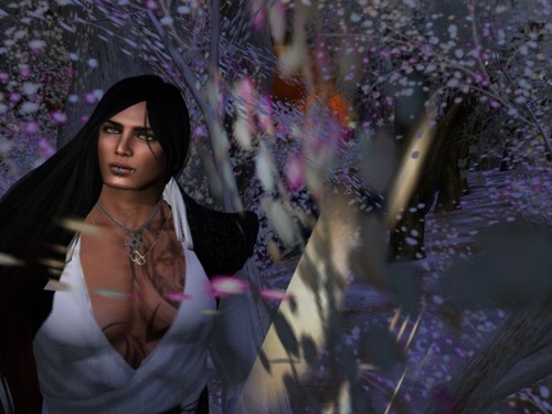 Web 566486f03f942f0226000001