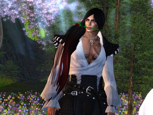 Web 566de9c6f8a1ec407f000001