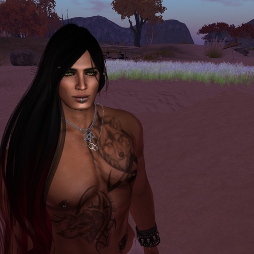 Web 56b302779934e05364000001