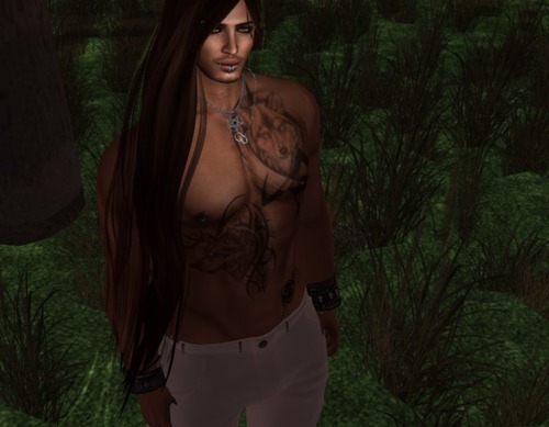 Web 56b50a299934e01029000001