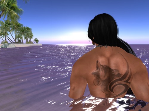 Web 56d8aec2f8a1ec4c94000001