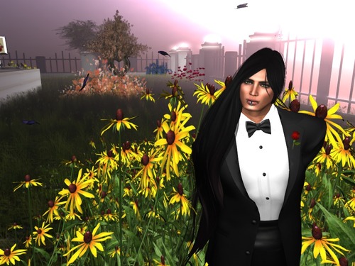 Web 56da6e7de85cda1170000001