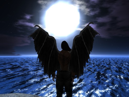 Web 56db213ee85cda3873000001