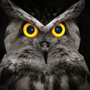 Thumb 55c146bcf8a1ec2798000001