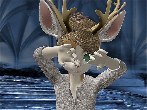 Web 55f845d98da57227de000001