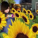 Thumb 5bb1f591d774f863d1000001