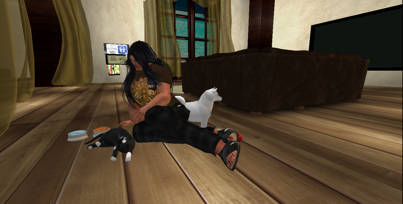 Original 5661f98ef8a1ec4082000001