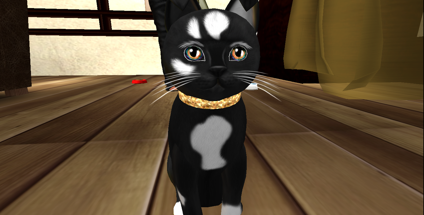 Original 56621a3b9934e04c0c000001