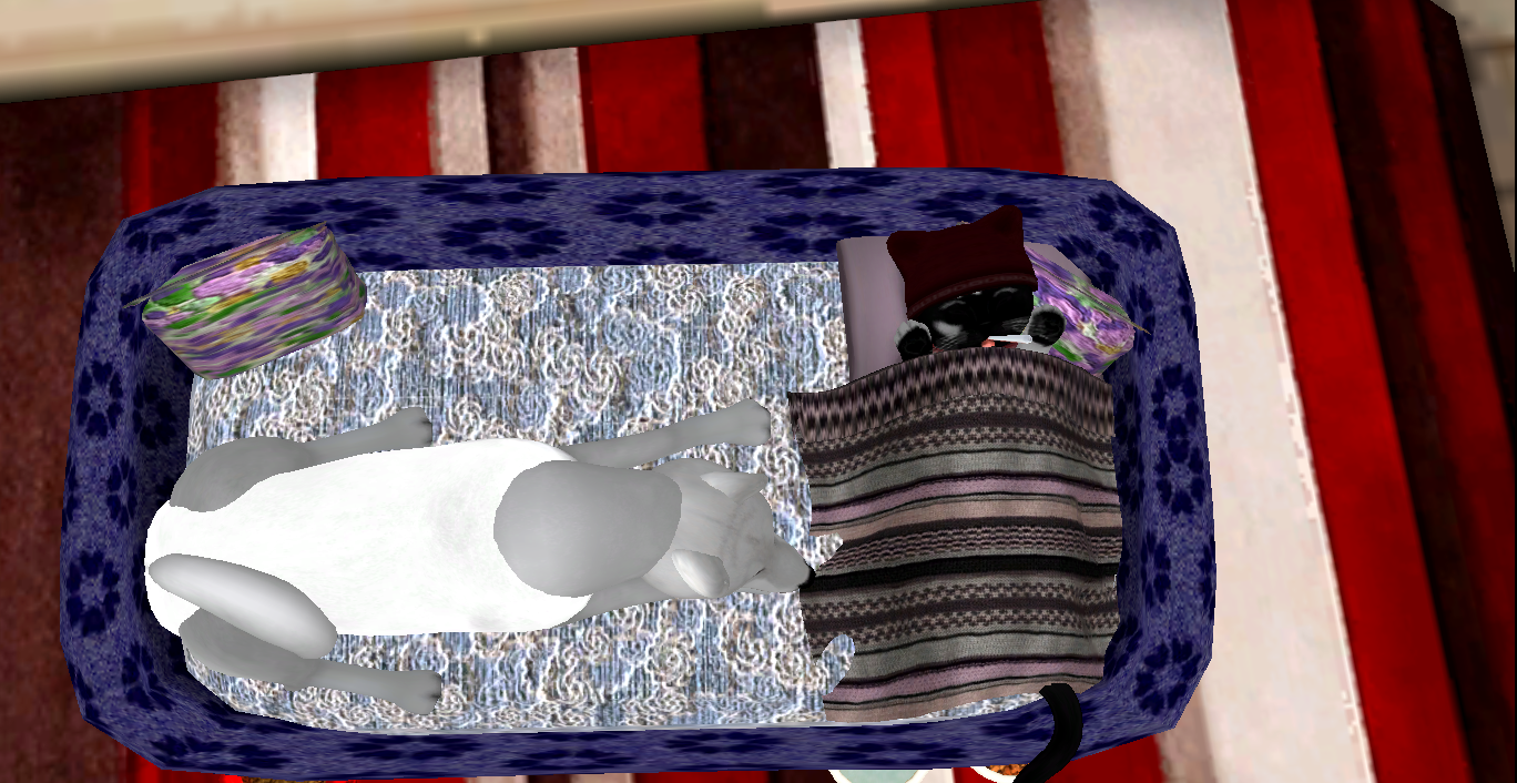 Original 5b3d8f3a73ed174f5d000001