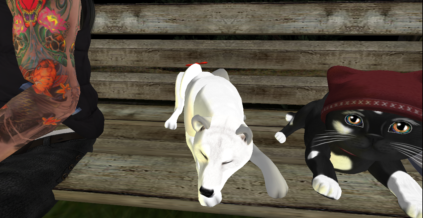 Original 5d3d4d0c289dd27034000001