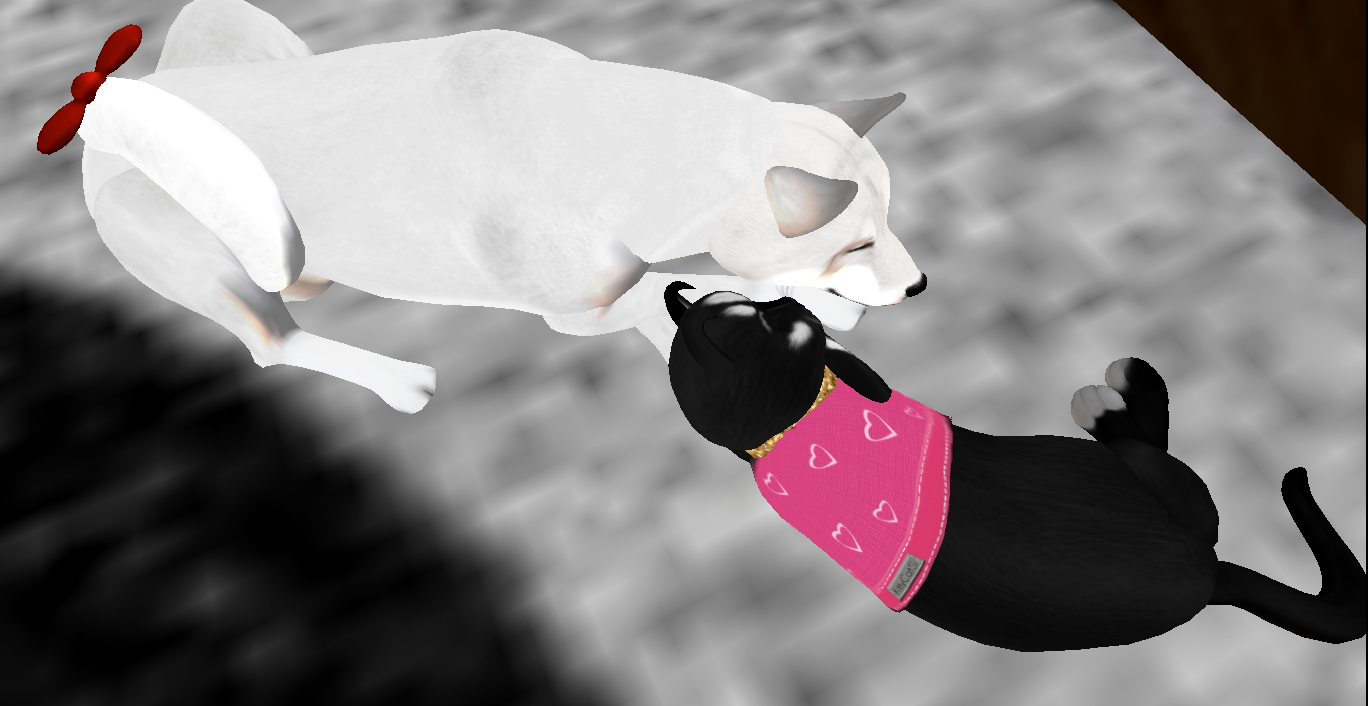 Original 5f00168573ed17033c94a208