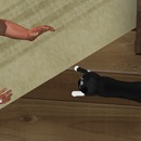 Thumb 560d2ec18da57264fa000001