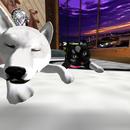 Thumb 5ce9eca8d9859c6503000001