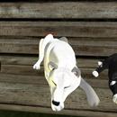 Thumb 5d3d4d0c289dd27034000001