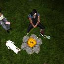 Thumb 5d3d6298d774f84c24000001