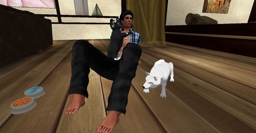 Web 560eb993a73e2123ec000001