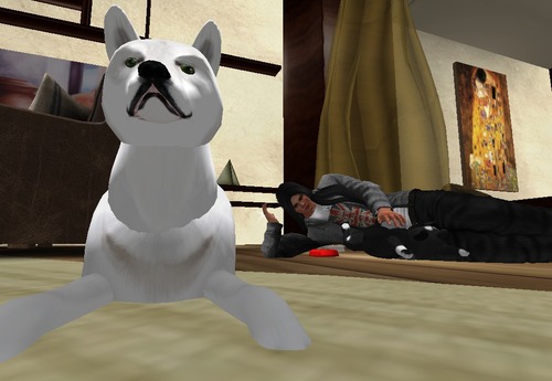 Web 561375fe128cc94aa7000001