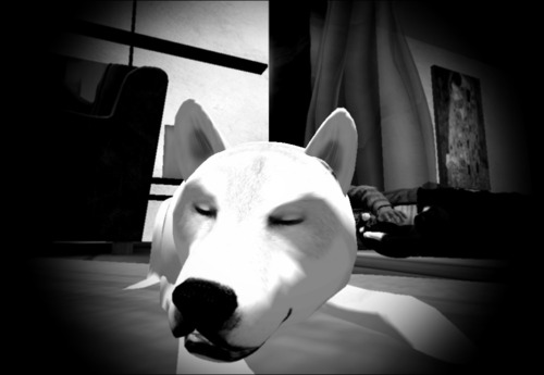 Web 56137b21a73e210f9c000001