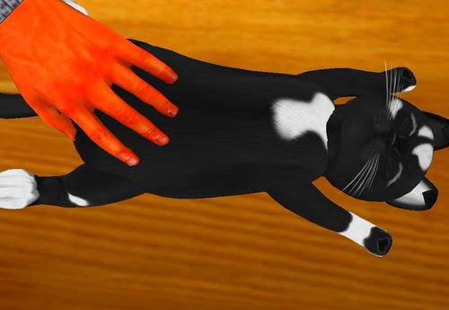 Web 5613814c8da57228c1000001