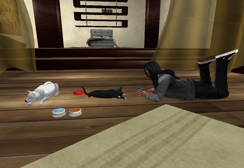 Web 5614c6f8128cc90f8b000001