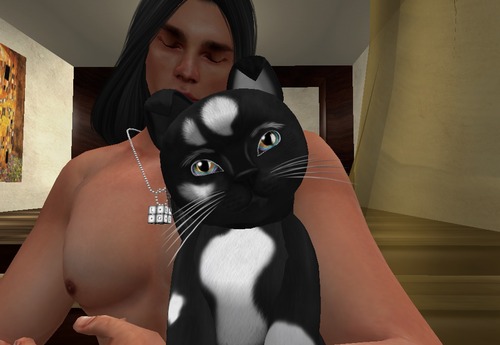 Web 5617717ef8a1ec3000000001