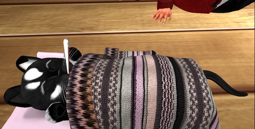 Web 565c03c13f942f49d3000001