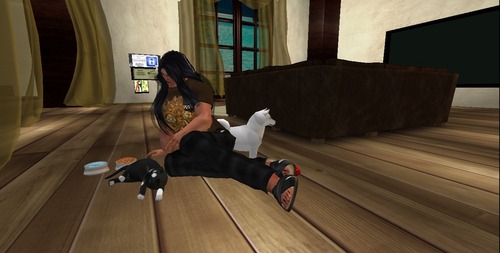 Web 5661f98ef8a1ec4082000001