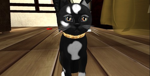 Web 56621a3b9934e04c0c000001