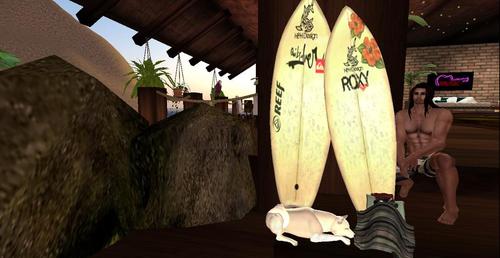 Web 5a4f8c5373ed177e8a000001