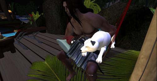 Web 5a4f96c8289dd233df000001