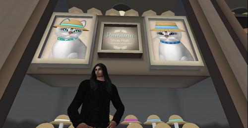 Web 5a5d56fb73ed175063000001