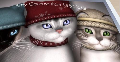 Web 5a5d5a4d73ed17718a000001