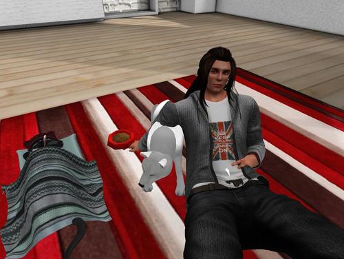 Web 5b3498f7289dd24885000001