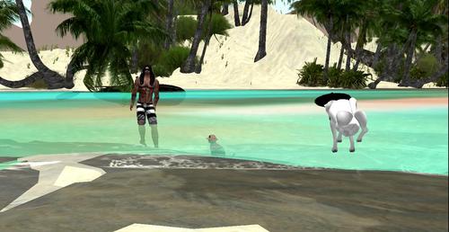 Web 5c3cad5a73ed17477d000001