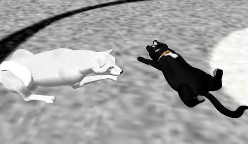 Web 5c64d5e673ed1710dd000001