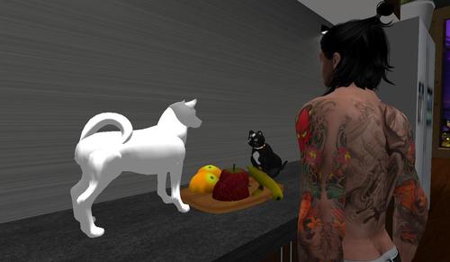 Web 5c6b880973ed176788000001