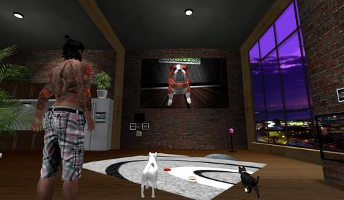 Web 5c6b8b5973ed177d42000001