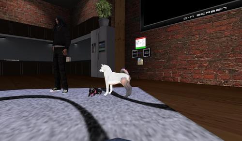 Web 5c78c30b73ed170e79000001